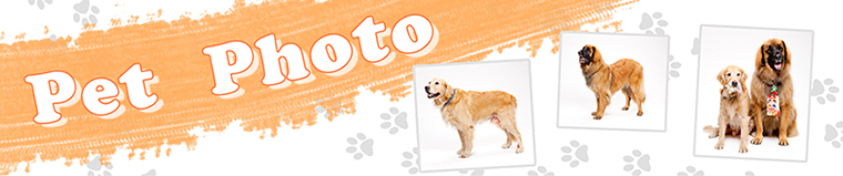 フォトスタジオ森